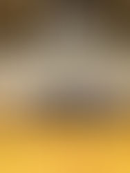 Shoots Den...McCully Division