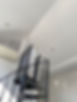 IMG_2387.jpeg