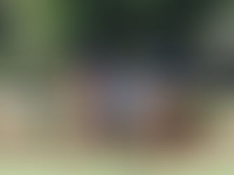 PLAYING POLO & THE POWER OF BEING PRESENT