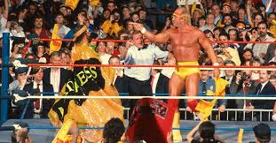 Resultado de imagem para hulk hogan vs randy savage wm 5