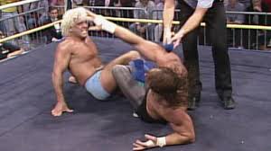 Resultado de imagem para ric flair vs terry funk i quit