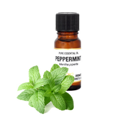 PEPPERMINT ESSENTIAL OIL (Head & Back Pain Relief, Nausea ...