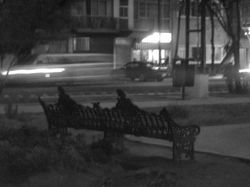 28646_389568046299_3667916_n