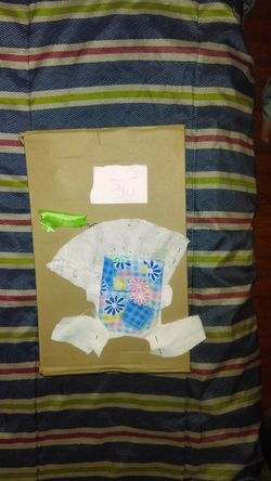 13275901_10153800100679022_1646542243_n