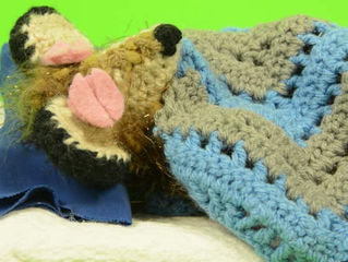 Secuencia de movimientos duerme