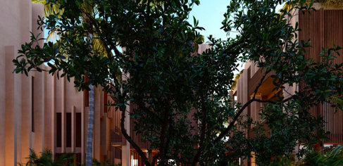 Screen Shot 2022-11-12 at 5.38.04 PM.png