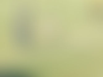 Lucky ARA FC walk away with a point against Dempo SC