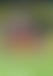 Hyderabad FC hold ATK Mohun Bagan in intense goalless draw in ISL semis