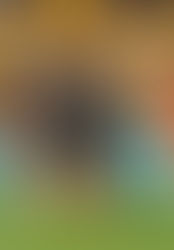 Unbeaten Mumbai City clinches Hero ISL League Shield with impressive win over FC Goa