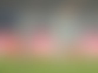 Iker Guarrotxena’s brace earn a point for FC Goa against Jamshedpur FC