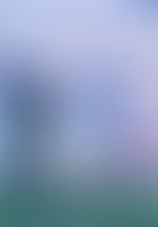 Sesa FA out class newly-entrant YBT