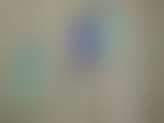 Salgaocar FC stun defending champions Dempo SC in GPL cross-town derby