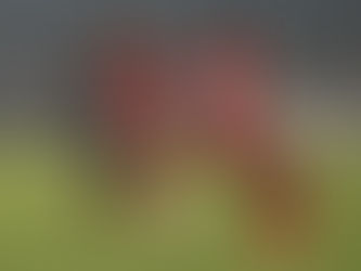 Mohammedan Sporting drop points at home, hold spirited Mumbai Kenkre in high-scoring draw