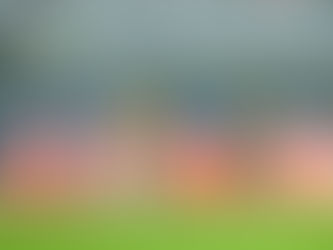 Odisha FC eye full points against East Bengal to solidify top four chances