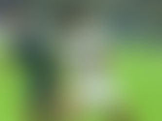 ISL Report: Kerala Blasters back to winning ways