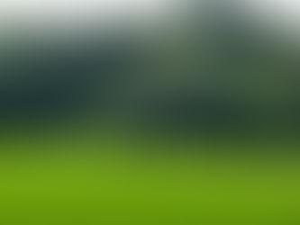 Pradap Piles on the Runs, Shawn Takes Them Down: YCC’s Turtle-y Awesome Game!