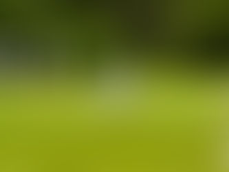 "York Cricket Club’s Weekend Saga: A Saturday Victory Followed by a Sunday Setback"