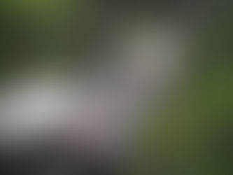 Birthday – Biber – Best comes last! CALIs @ Fundy-Nationalpark. Teil 2!