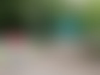 Rainbowbridge to Canada...