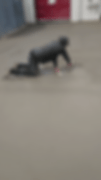 finishinggif.gif