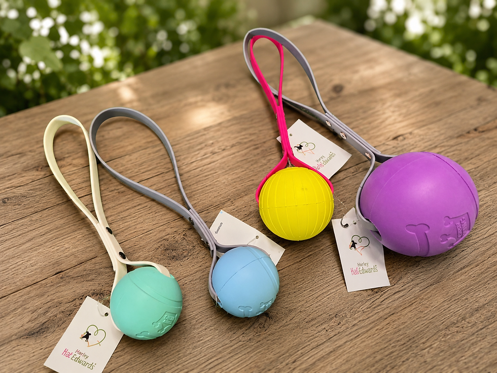 tug toys.png