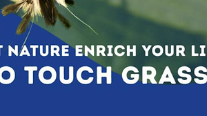 Go Touch Grass Webinar
