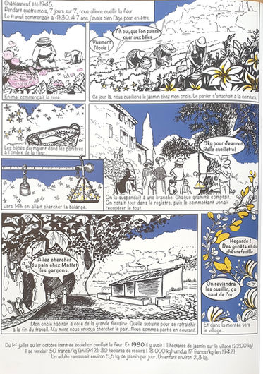 Planche 3 : la cueillette des fleurs en 1945
Dessins et textes Céline Guitry