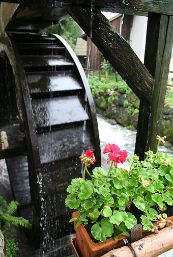 classe verte oct 06 (106).jpg