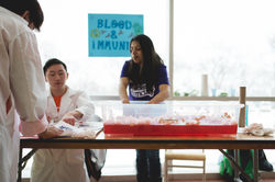 science-funday-2017-58