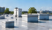 roof.jpg