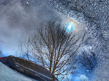 puddle.JPG