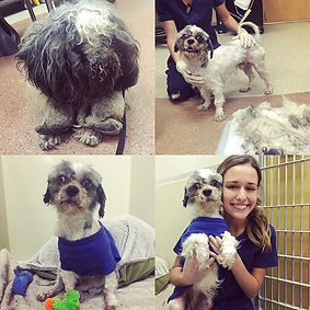 Today I remembered why I love my job...t