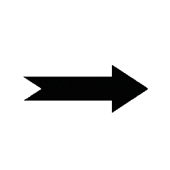 Arrow 2.gif