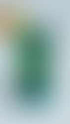 청마루 골든모닝 샷