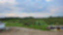 rooftop orchard.jpg