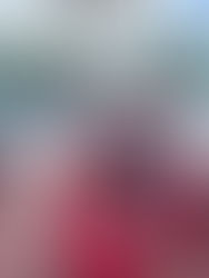 ✅ Taller en Mingueo – Día 2