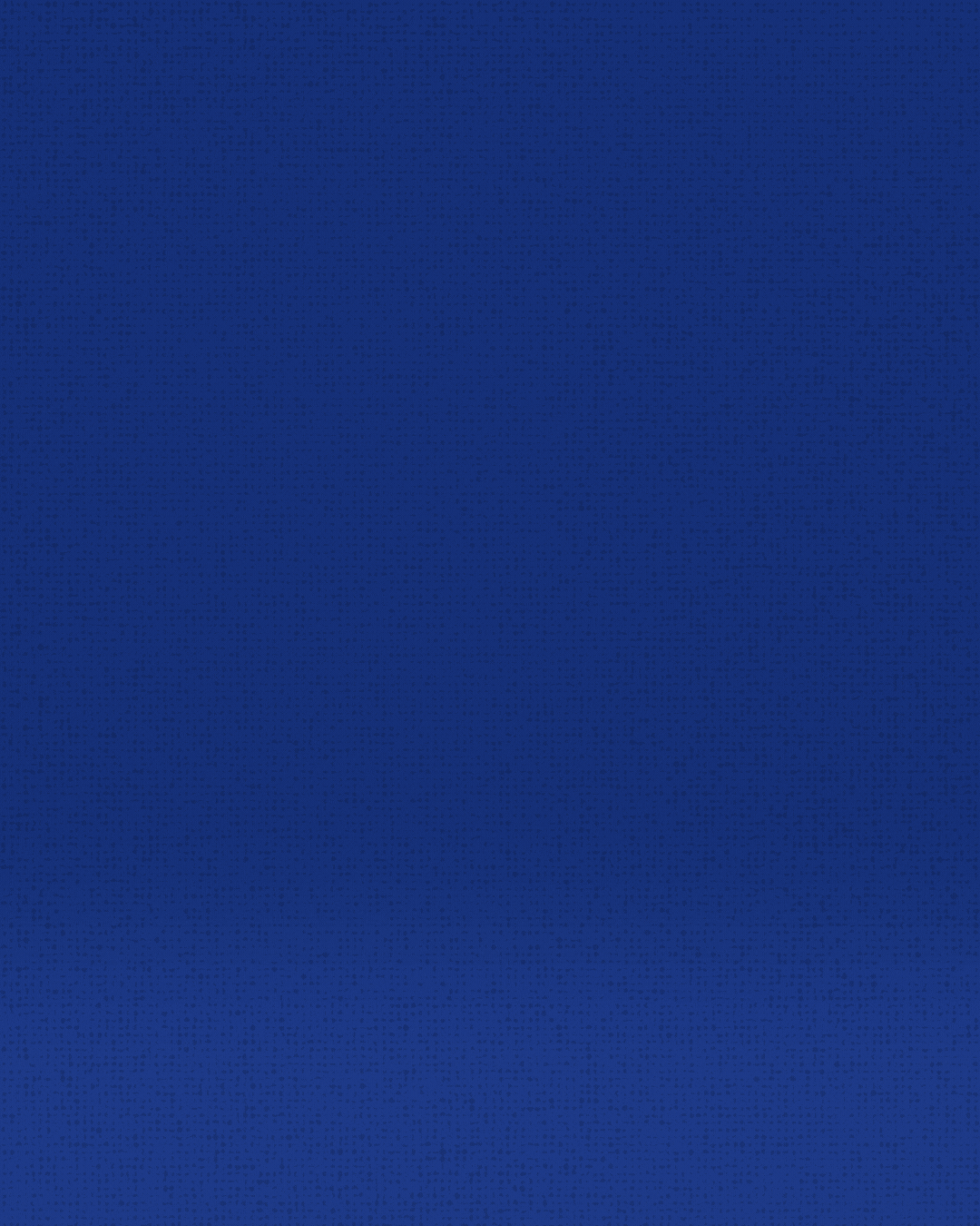 Pegasus Brand & Website .gif