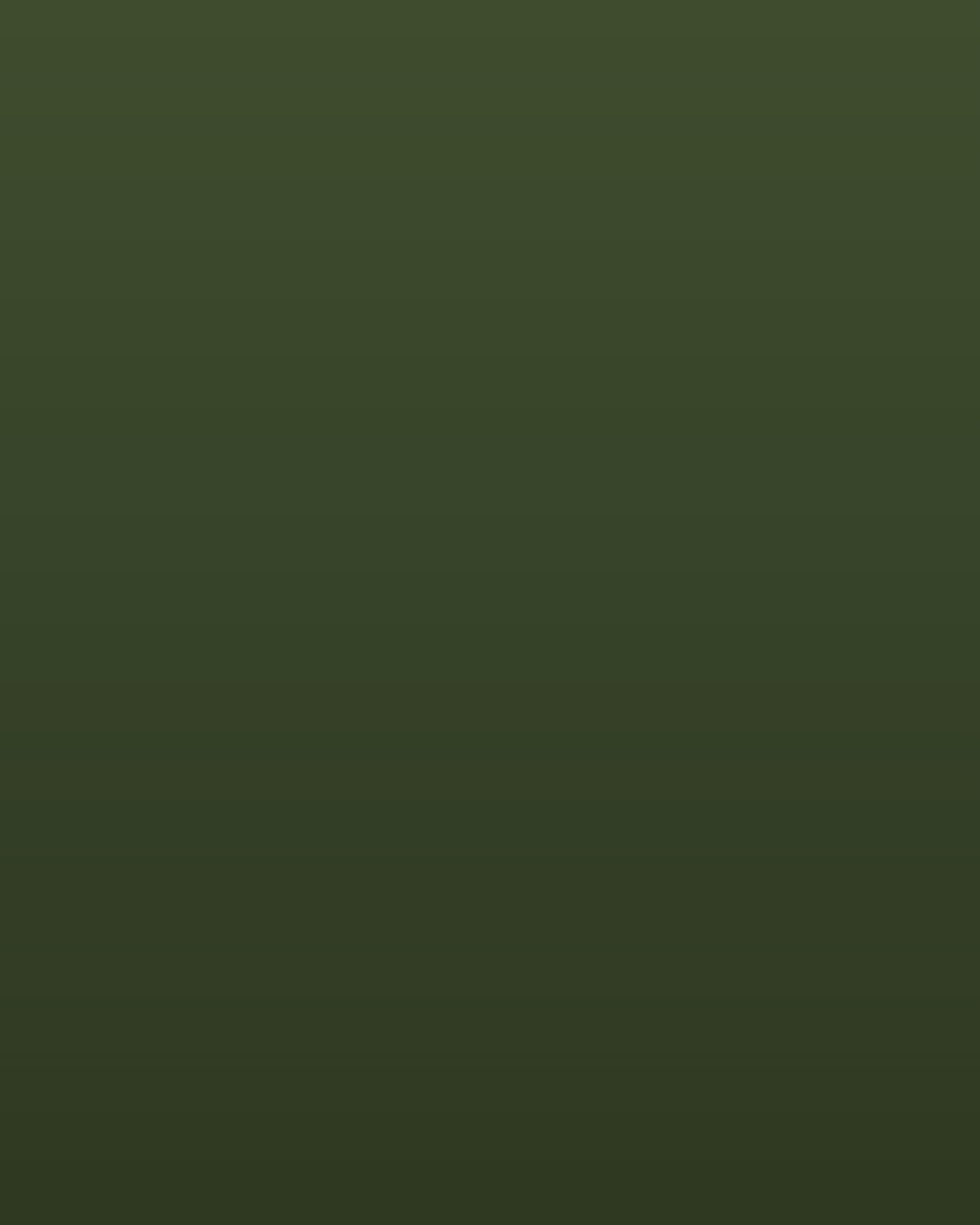 Ciminello's rebrand.gif