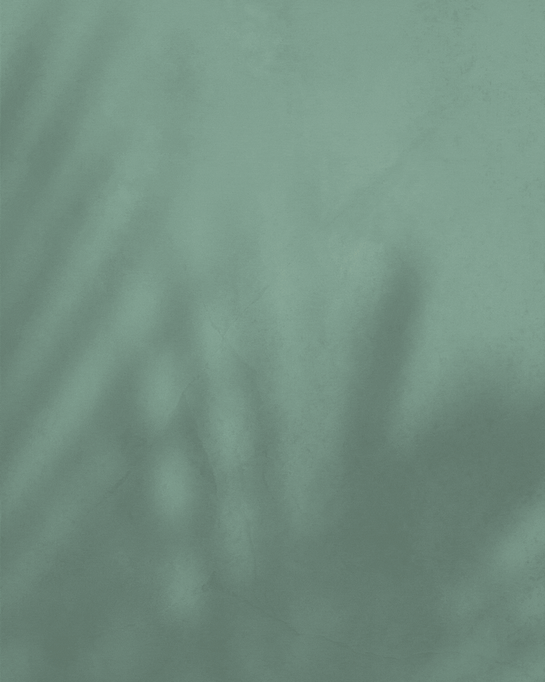 20th Anniversary Series.gif