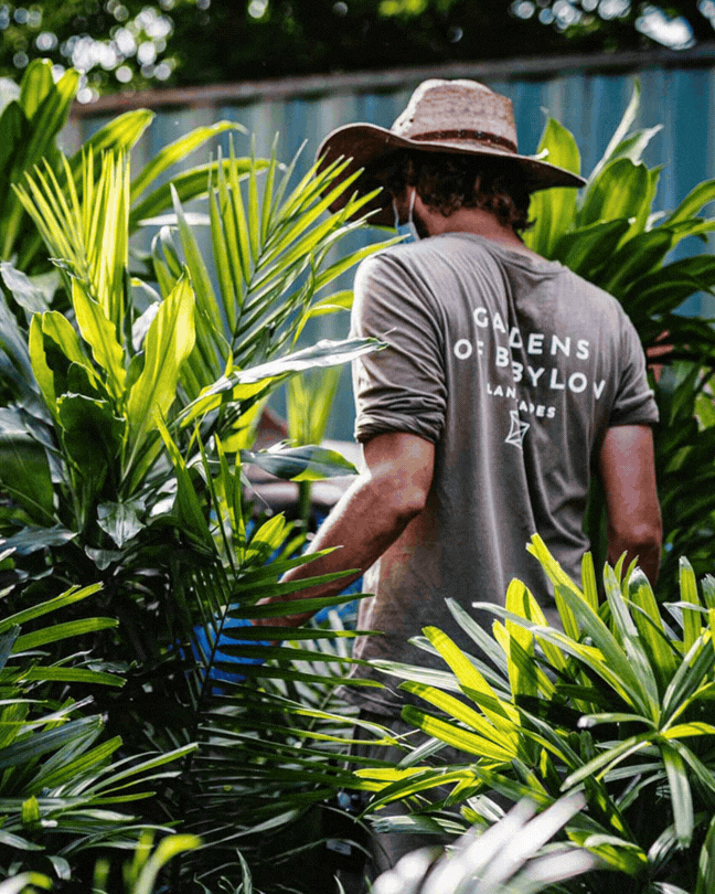 Influencer + Press Activation (1).gif