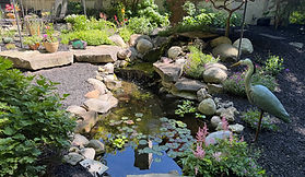 Ponds