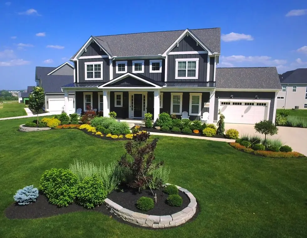 Artificial Grass: A Pet-Proof Lawn