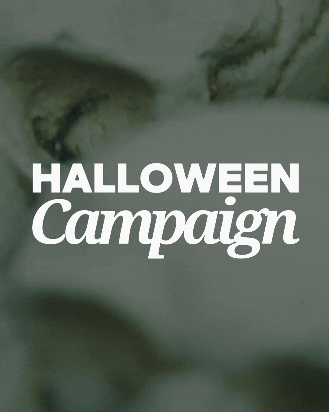 Halloween Campaign.gif