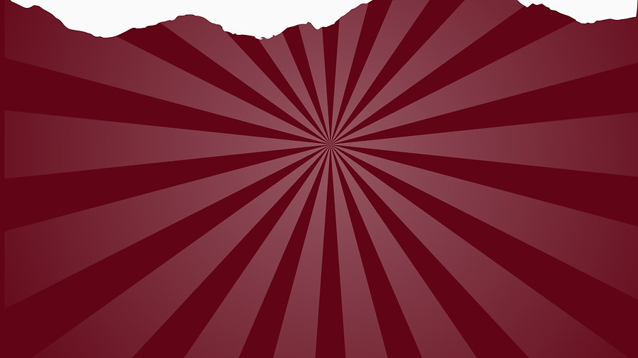 VC Social + Website Growth Plan (5).png