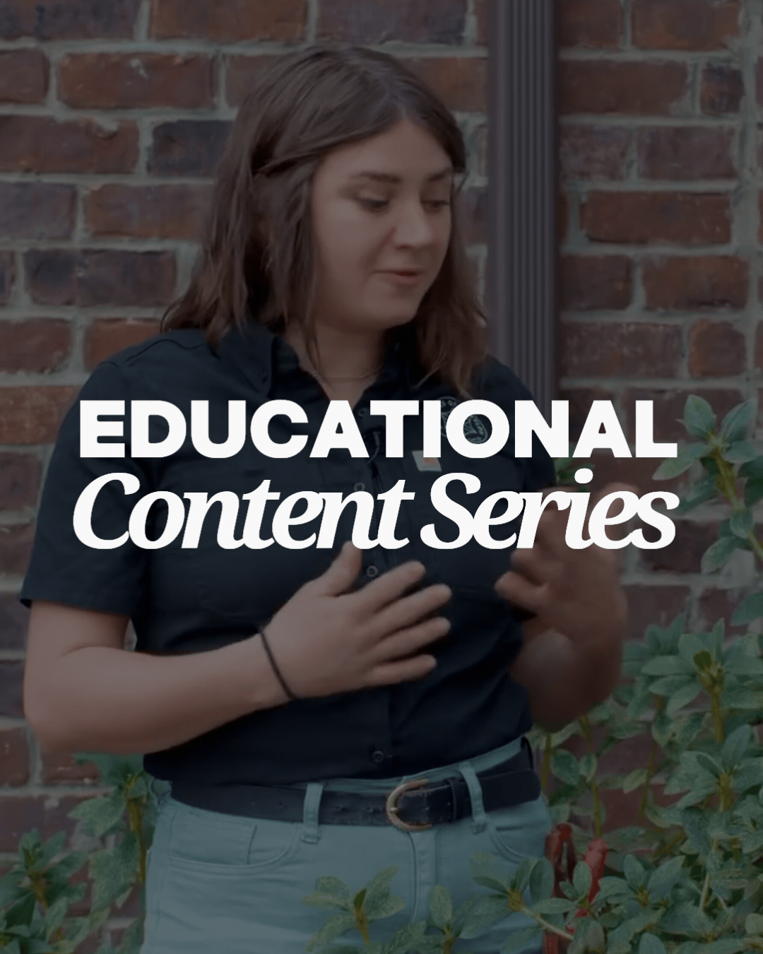 educational content serie (5).gif