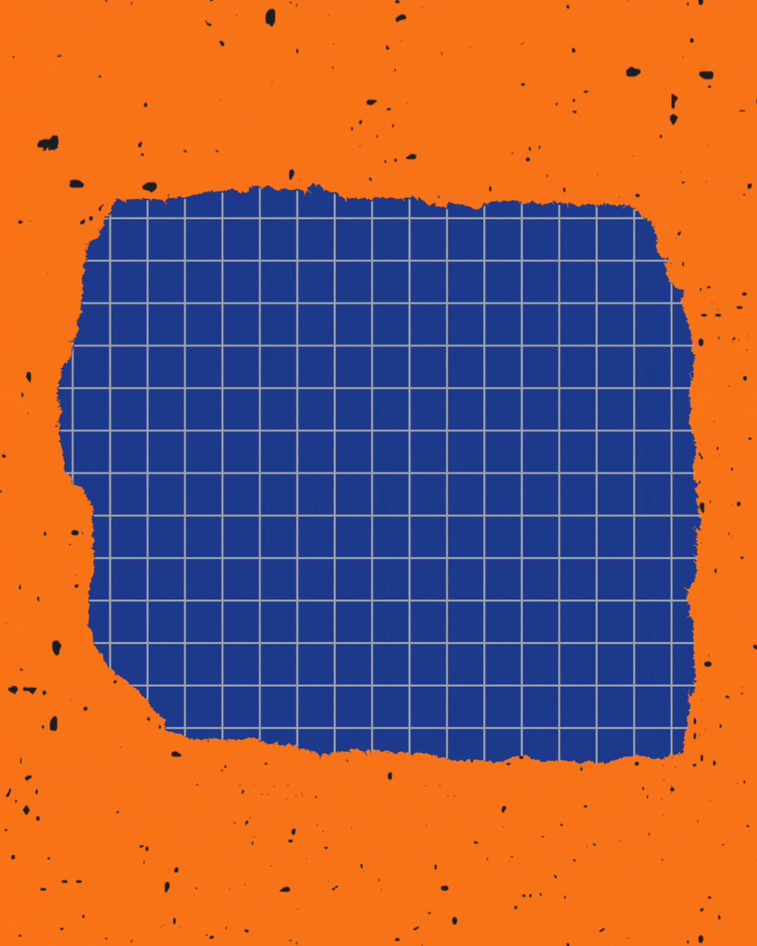 Local SEO & Discovery Systems.gif