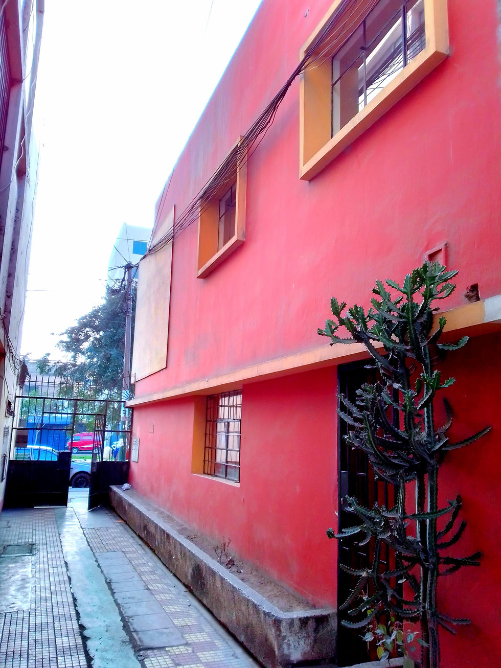 PARTE LATERAL DENTRO DE QUINTA
