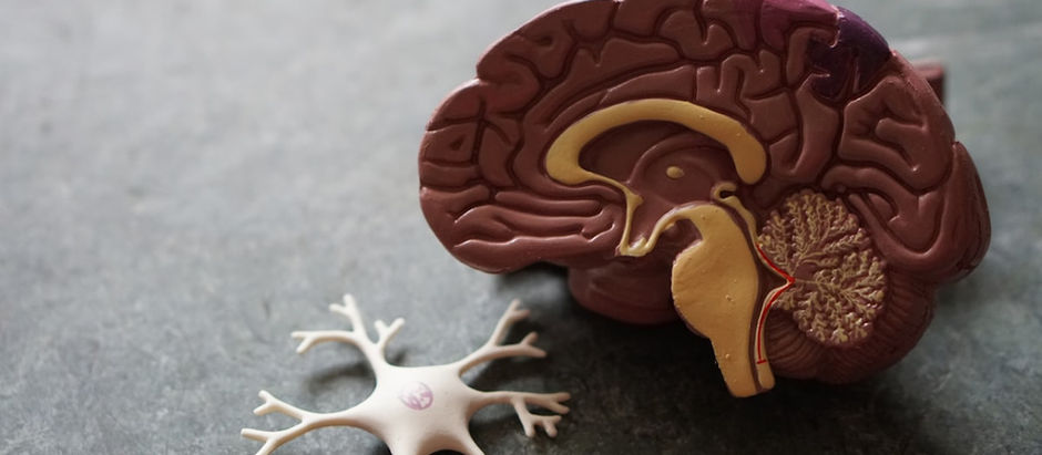 Why Decision Fatigue Is a Nervous System Problem, Not a Willpower Problem