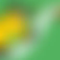 National lieracy trust logo