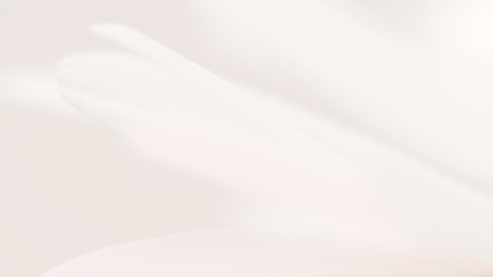 Neutral Simple Minimalist Light Professional Meeting Name Zoom Virtual Background.png